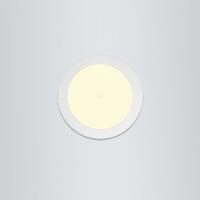 Alle LED Downlights